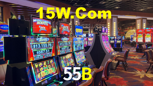 55B App